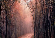 瑞典传奇对阵中国名将！全球乒乓球界庆典：2024年“瓦尔德内尔杯”拉开战幕环球时报.