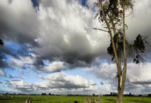 虎扑NBA：哈登14投4中&三分6中2 得到17分5板8助 出现6失误 正负值+4.