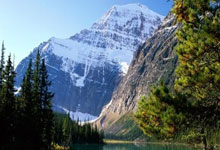 虎扑NBA：[图]罗斯破门对手两人被罚下 津门虎主场胜海牛.