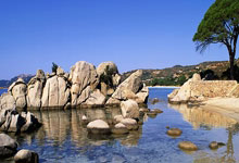 冬奥冠军隋文静复出，将积极备赛米兰冬奥会人民日报客户端.